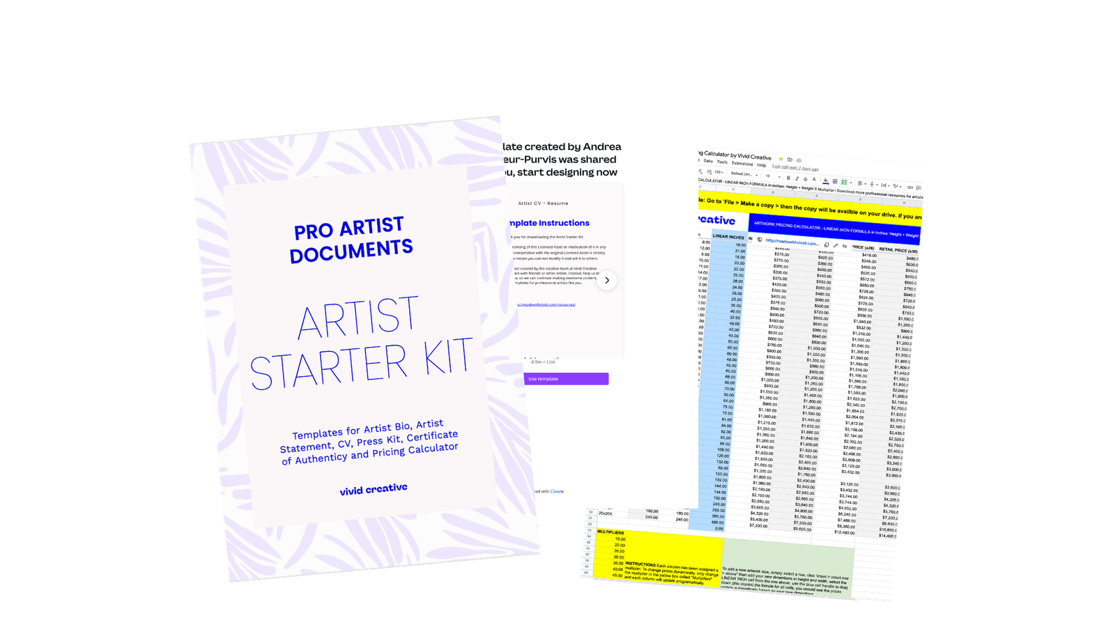 artist starter kit by vivid creative coa cv artist statement press kit